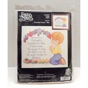Janlynn Precious Moments Serenity Prayer Boy 131-71 Counted Cross Stitch Kit